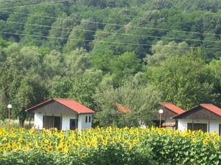 Комплексы для отдыха с коттеджами/бунгало Lucky Bungalows Елена-0